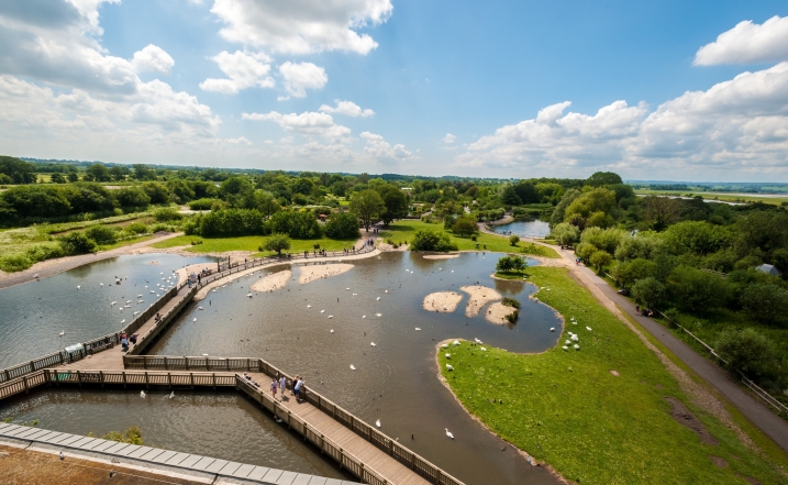 Slimbridge Wetland Centre credit WWT and Barry Batchelor.jpg